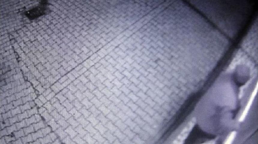 Hırsız G&uuml;venlik Kamerasında