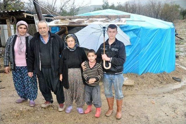 (özel Haber) Evi Yanan Adam, 3 Eşi Ve 7 Çocuğu İle Çadırda Yaşıyor