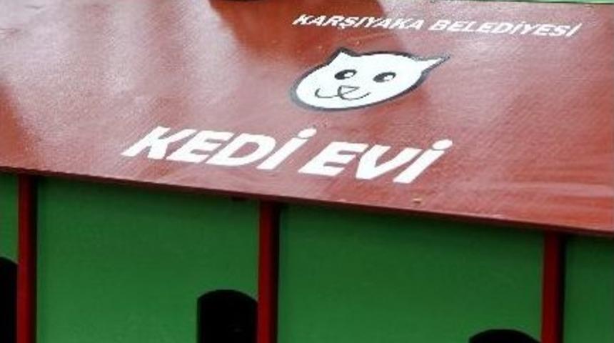 Karşıyaka&rsquo;da Kedilere &lsquo;kalıcı&rsquo; Yuva