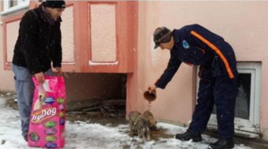 G&ouml;nen&rsquo;de Sokak Hayvanları Unutulmadı