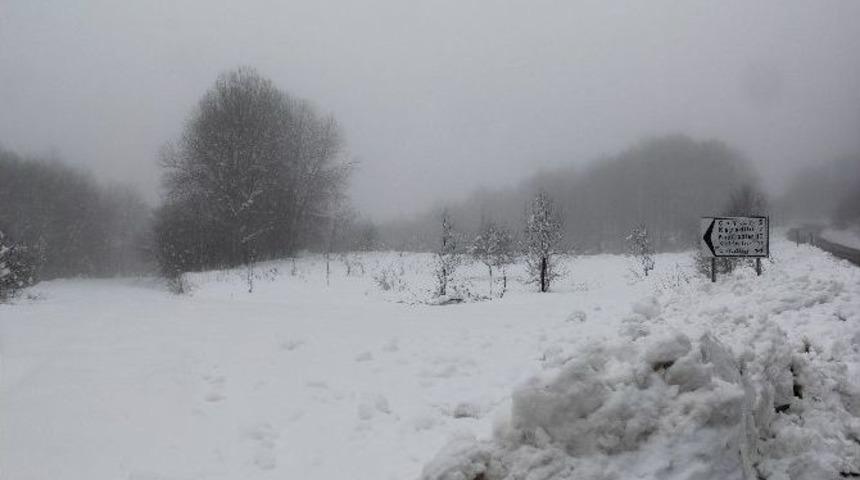 &Ccedil;atalzeytin 3 G&uuml;n Sonra Elektriğe Kavuştu