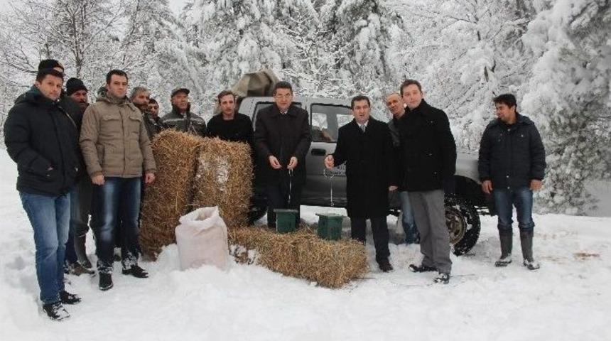 &Ccedil;an&rsquo;da Yaban Hayvanlarına Yem Desteği