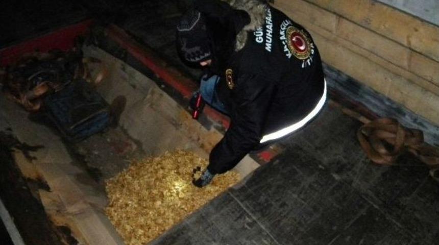 Hamzabeyli&rsquo;de 235 Kilo Ka&ccedil;ak Ceviz Ele Ge&ccedil;irildi