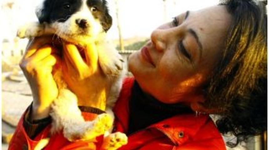Sevgililer G&uuml;n&uuml;nde Hayvan Sahiplenin