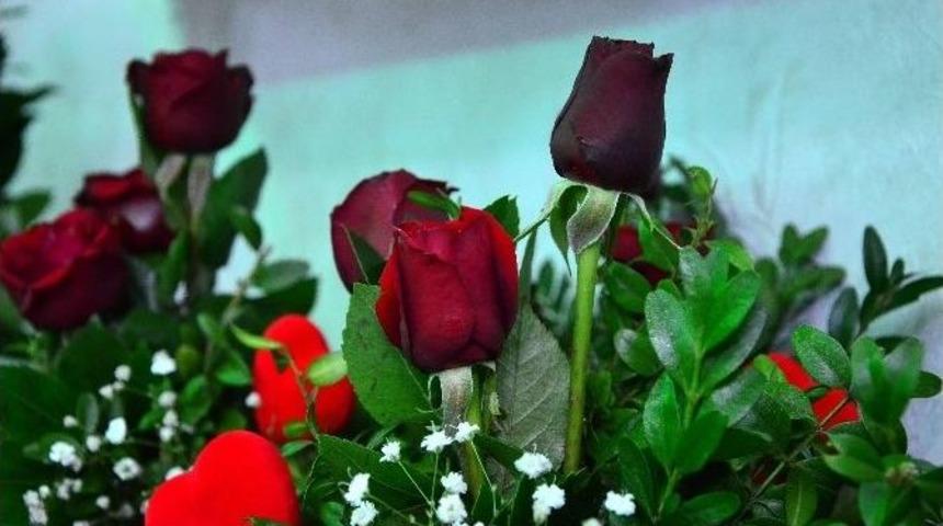 (&ouml;zel Haber) "g&uuml;l"&uuml; Seven Dikenine De Katlanıyor