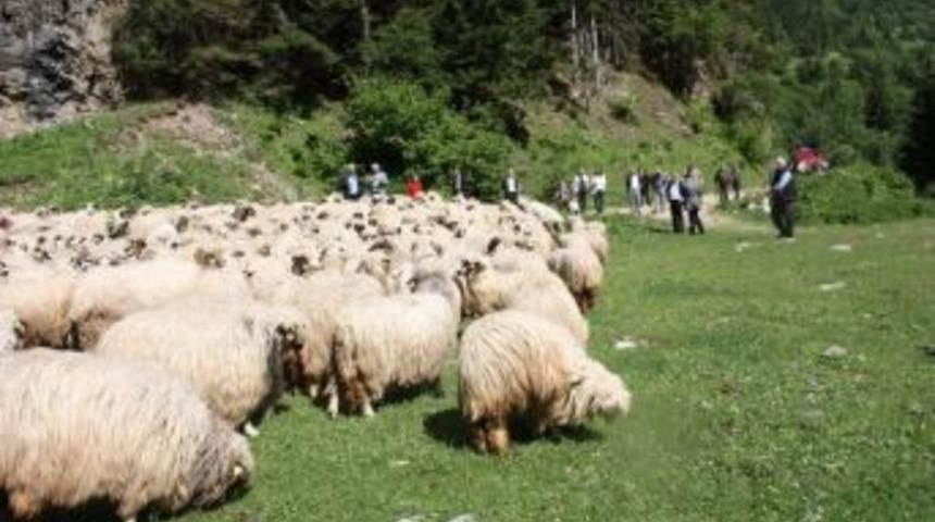 Orman K&ouml;yl&uuml;s&uuml;ne Kredi Desteği