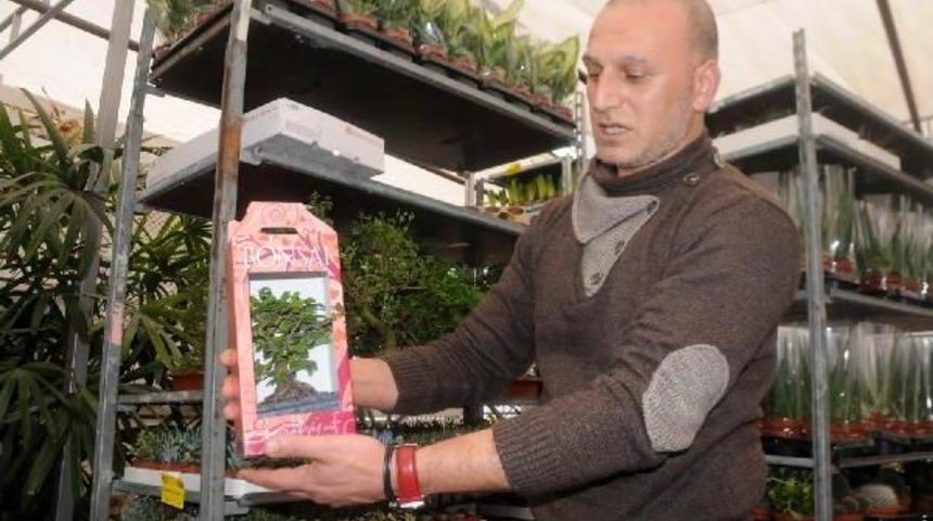 Sel Ve Don &Uuml;retimi Vurdu, Sevgililer G&uuml;n&uuml; &Ccedil;i&ccedil;ekleri Ithal Edildi