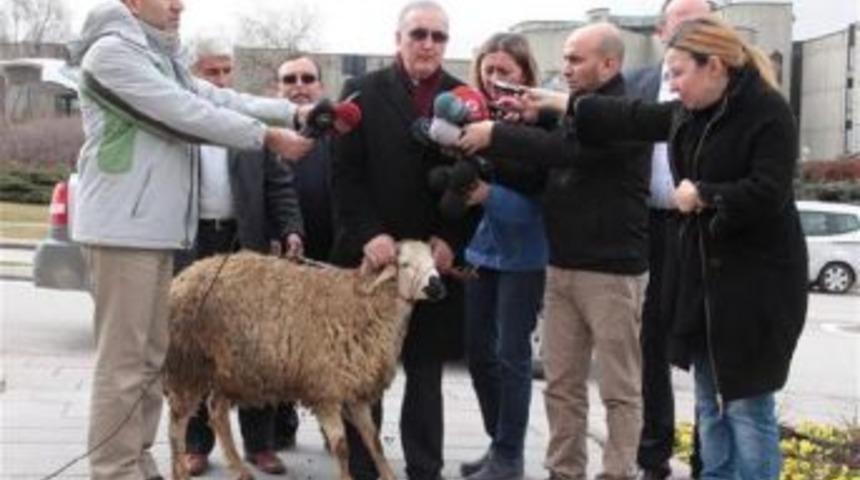 Opposition Deputy &lsquo;Rams&rsquo; Turkish Parliament