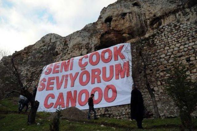 Tokat Kalesi'ne 'seni Çok Seviyorum Canooo' Afişi Astı