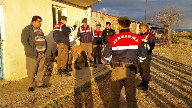 (özel) Kaçak Kesime Jandarma Baskını