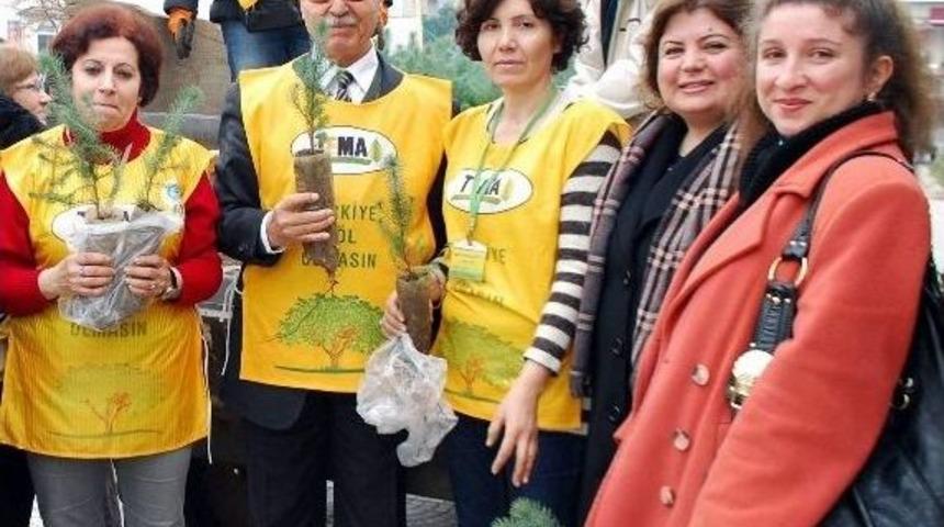 Sevginizi Fidanla B&uuml;y&uuml;t&uuml;n