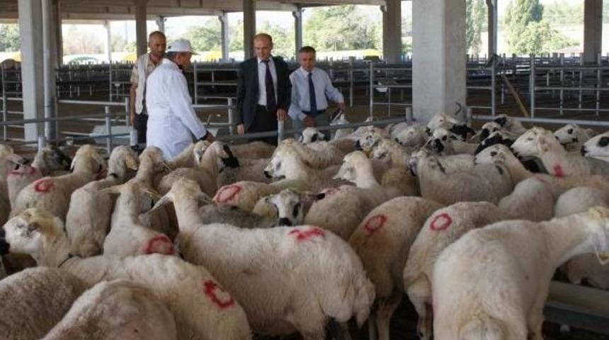 İşkur Destekli S&uuml;r&uuml; Y&ouml;netimi Elemanı Kursları Başlıyor