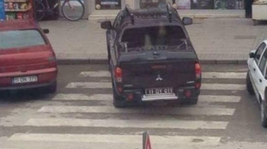 Belediye Başkanı Kendi Makam Aracına Ceza Yazdırdı