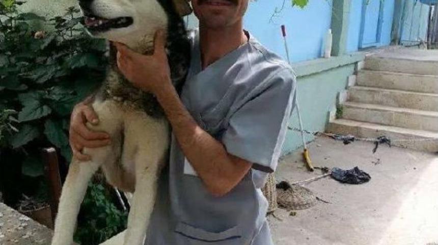 Hasta Bakıcı Kazada &Ouml;ld&uuml;