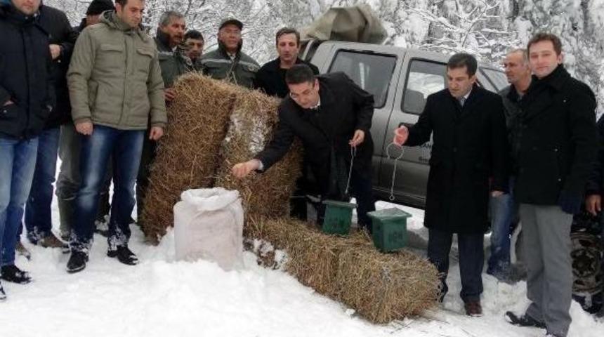 &Ccedil;an'da Yaban Hayatı Unutulmadı