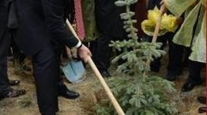 B&uuml;y&uuml;kşehir 2014&rsquo;te 703 Bin Fidanı Toprakla Buluşturdu