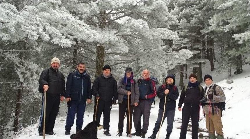 (&ouml;zel Haber) Aşklarını Zirveye Taşıdılar