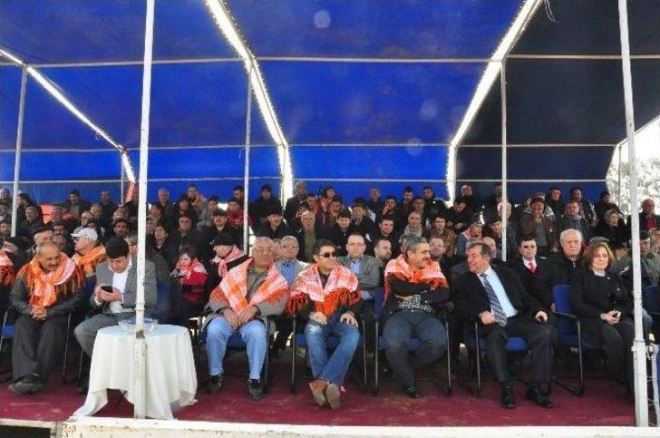 Nazilli’de Develer Burs İçin Güreşti G1