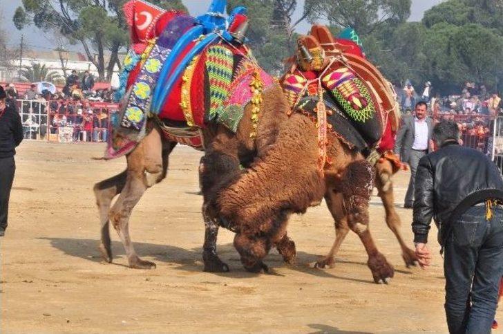 Nazilli’de Develer Burs İçin Güreşti G2