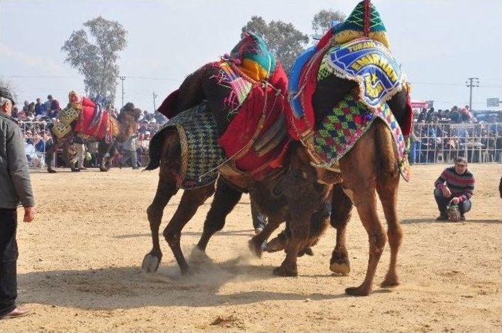 Nazilli’de Develer Burs İçin Güreşti G3