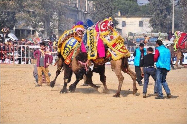 Nazilli’de Develer Burs İçin Güreşti G4