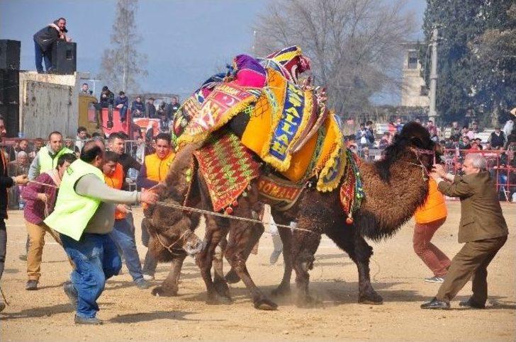 Nazilli’de Develer Burs İçin Güreşti G5