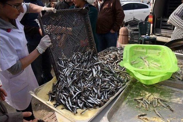 İzmir’de Karadenizliler Hamsi Şöleninde Coştu