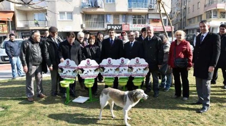 Manisa'da, Sokak Hayvanları I&ccedil;in 100 Noktaya Beslenme Kabı