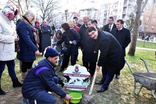 Manisa'da, Sokak Hayvanları Için 100 Noktaya Beslenme Kabı