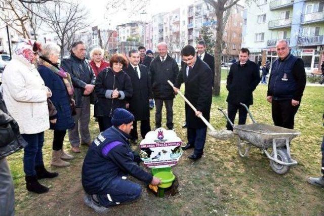 Manisa'da, Sokak Hayvanları Için 100 Noktaya Beslenme Kabı