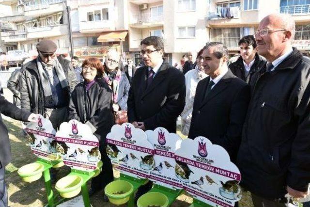 Manisa'da, Sokak Hayvanları Için 100 Noktaya Beslenme Kabı