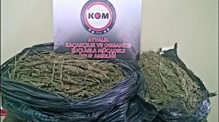 Ayvalık&rsquo;ta Uyuşturucu Operasyonu