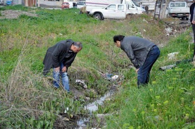 Özgecan'ın Katil Zanlısı Altındöken, Genç Kızın Ellerini Hayattayken Kesmiş (2)