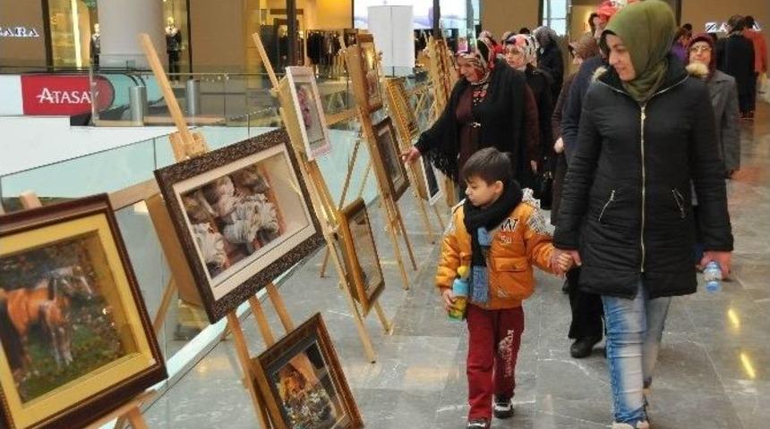 Kadınlardan Perspektif Sergisi