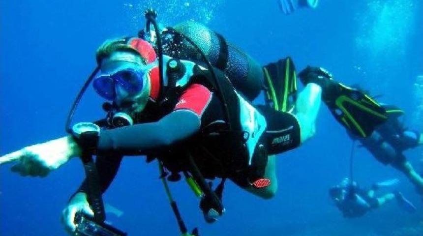 Su Altında Yavru Fok S&uuml;rprizi