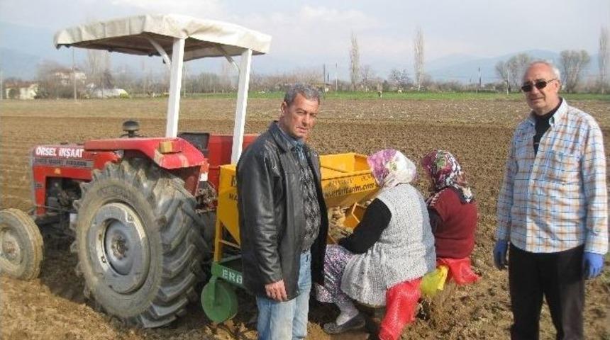 &Ouml;demişli Patates &Uuml;reticisi, Ilık Havaları Değerlendiriyor
