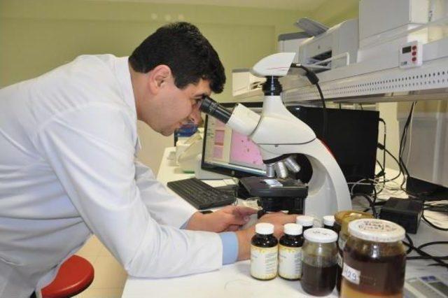 Yrd.doç.dr. Öztürk: Bal Antibiyotik Dirençli Bakteriler Üzerinde Etkili