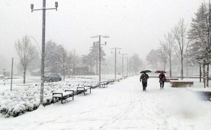 Bolu Kent Merkezinde Göz Gözü Görmüyor G3