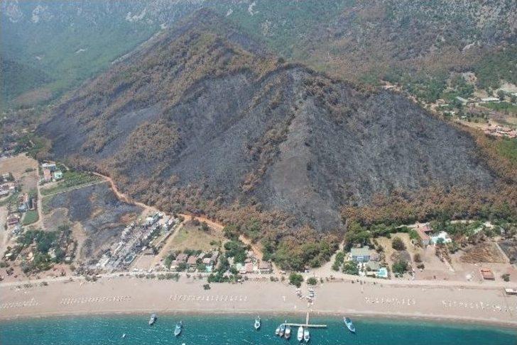 Adrasan’da 30 Bin Fidan Toprakla Buluşturuldu G2