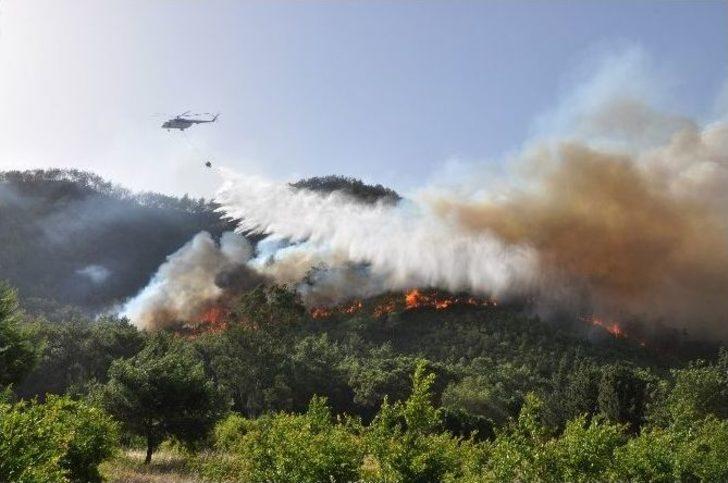 Adrasan’da 30 Bin Fidan Toprakla Buluşturuldu G3