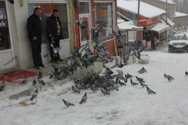 Doğu'da Kar Yağışı Başladı