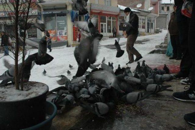 Doğu'da Kar Yağışı Başladı