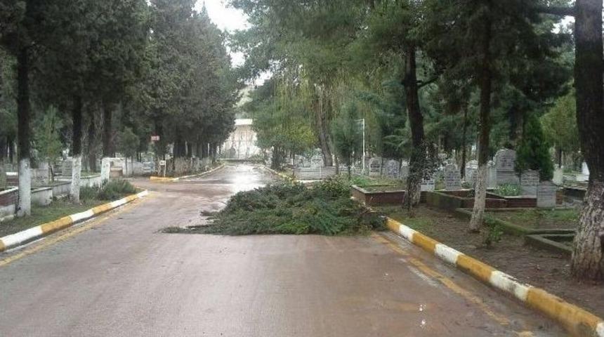 Körfez’de Bakım Onarım Çalışmaları Sürüyor