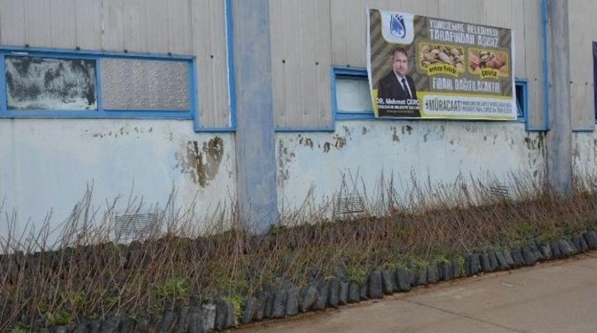 Yunusemre Belediyesi Fidan Dağıtımına Devam Edecek