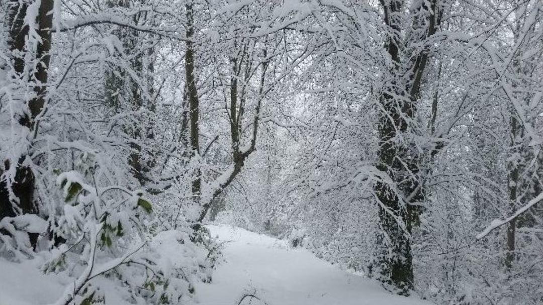 Aniden Bastıran Kar Yağışı Kartpostallık G&ouml;r&uuml;nt&uuml;ler Oluşturdu