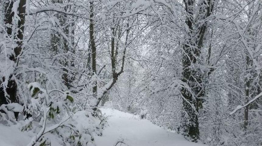 71 K&ouml;y Yolu Ulaşıma Kapandı