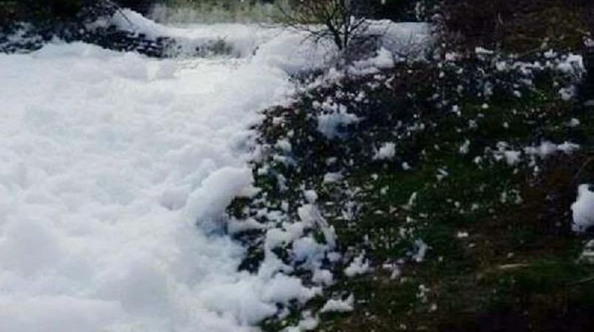 Kaynarca'daki Kocadere Atıklar Y&uuml;z&uuml;nden B&ouml;yle K&ouml;p&uuml;rd&uuml;