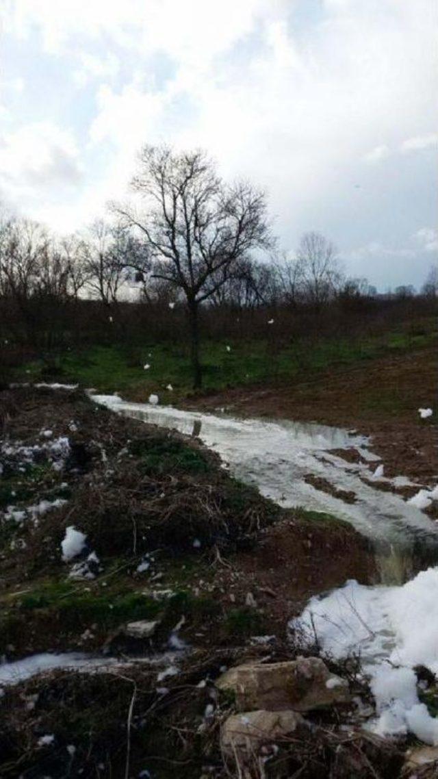 Kaynarca'daki Kocadere Atıklar Yüzünden Böyle Köpürdü