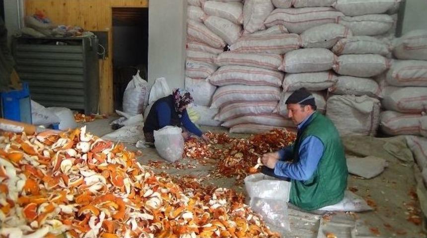 (&ouml;zel Haber) Portakal Kabuğu Ekmek Kapısı Oldu