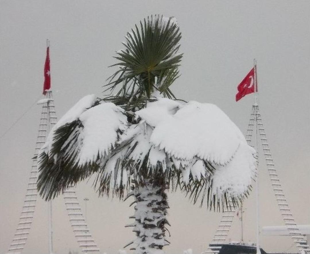 Samsun&rsquo;dan Kar Manzaraları